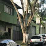 Galpão à venda em Mooca, São Paulo, SP