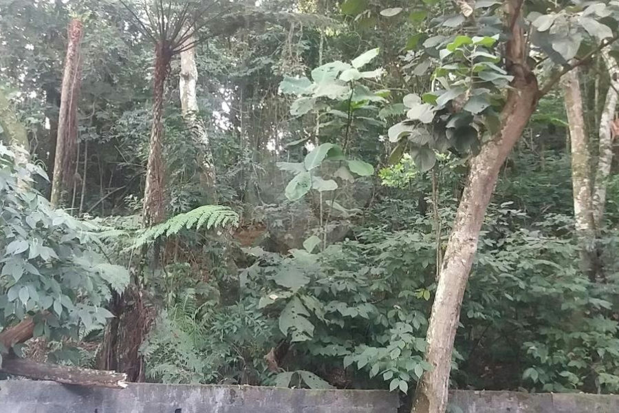 Terreno à venda em Tucuruvi, São Paulo, SP