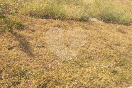 Terreno à venda no condomínio Villa Trivento, Indaiatuba - SP