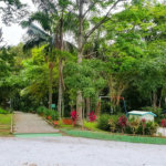 Terreno à venda em Jardim São Vicente, Cotia - SP