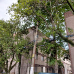 Apartamento à venda com 2 quartos em Parque Residencial da Lapa, São Paulo, SP
