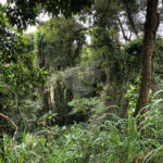 Terreno à venda no condomínio Gleba E2, Mairiporã - SP
