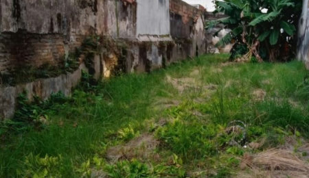 Terreno para alugar, 325 m² por R$ 14.356,00/mês - José Menino - Santos/SP