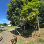 Área de Terra à venda com 1 quarto em Capivari, Louveira, SP
