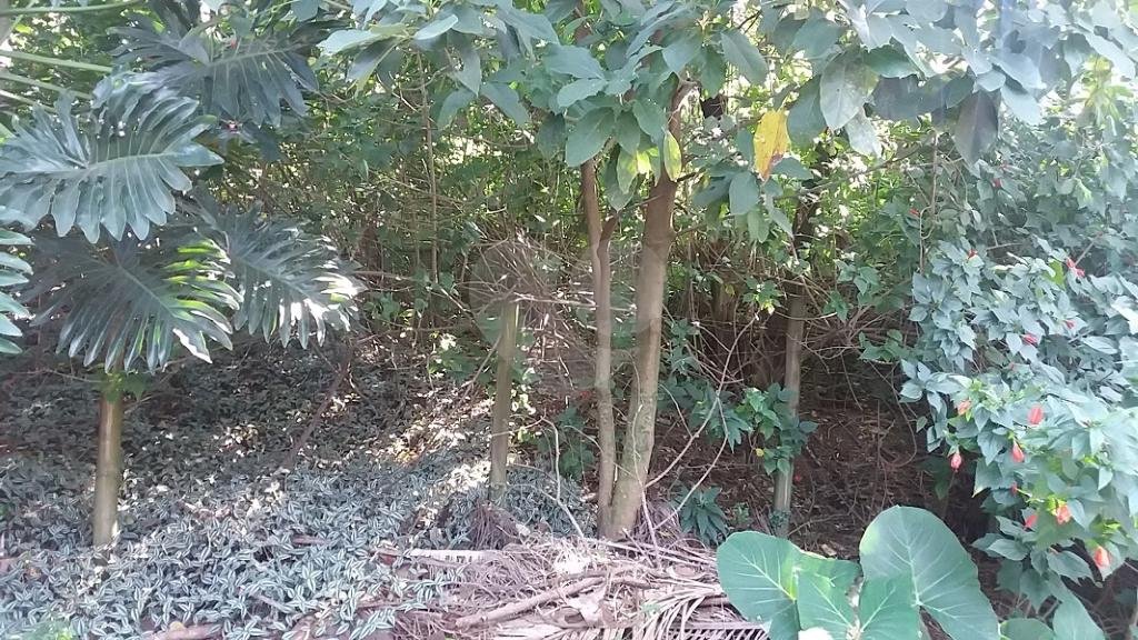 Terreno à venda em Tremembé, São Paulo, SP