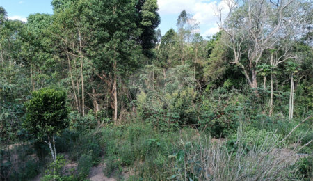 Sítio à venda com 2 quartos, sendo 1 suíte,  em Sorocamirim (canguera), São Roque, SP
