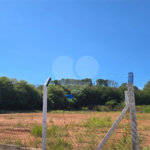 Terreno para alugar em Jardim Zavanella, Araraquara, SP