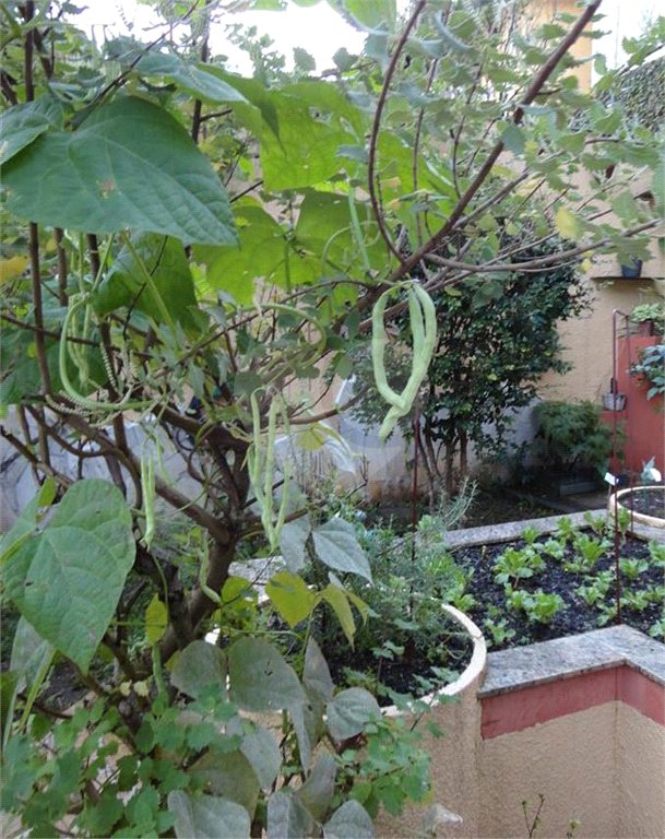 Sobrado à venda com 6 quartos, sendo 2 suítes, em Horto Florestal, São Paulo, SP