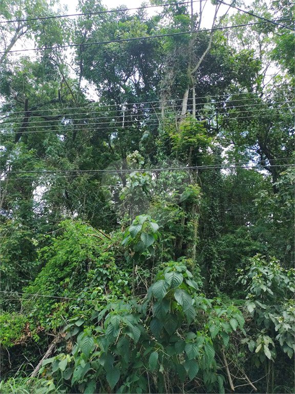 Terreno à venda em Serra da Cantareira, Mairiporã, SP