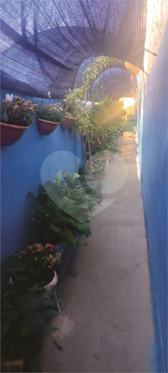 Sobrado à venda com 2 quartos em Vila Maria, São Paulo, SP