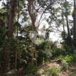 Terreno à venda no condomínio Suíça da Cantareira, Mairiporã - SP