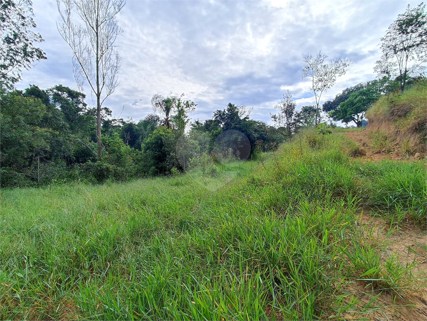 Terreno à venda em Residencial Reserva da Mata, Itapetininga, SP
