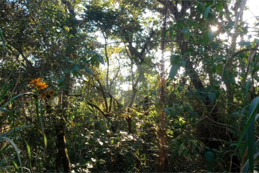 Terreno à venda em Caraguatá, Mairiporã, SP