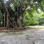 Apartamento à venda com 3 quartos, sendo 1 suíte, em Perdizes, São Paulo, SP