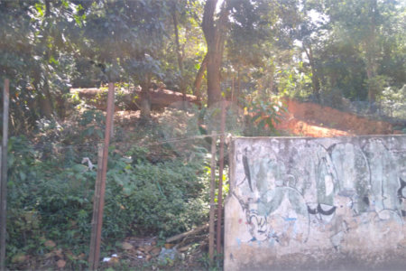 Terreno à venda em Vila Albertina, São Paulo, SP