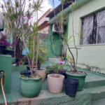 Casa à venda com 5 quartos em Campo Grande, Rio de Janeiro, RJ