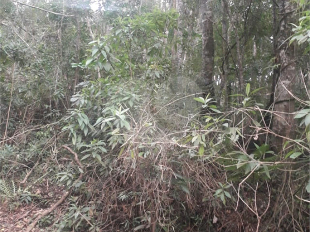 Terreno à venda em Suasalito, Mairiporã, SP