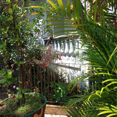 Sobrado à venda com 3 suítes em Bosque da Saúde, São Paulo, SP
