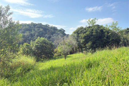 Sítio à venda com 3 quartos, sendo 1 suíte, no Centro, Guararema, SP