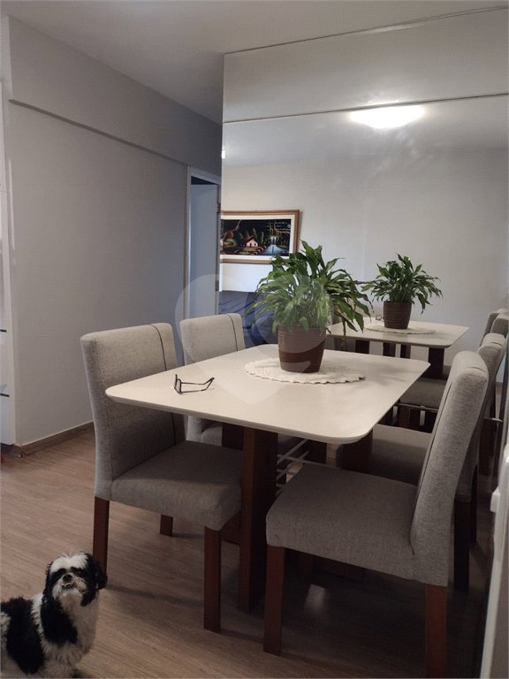 Apartamento à venda com 3 quartos, sendo 1 suíte, em Casa Verde, São Paulo, SP