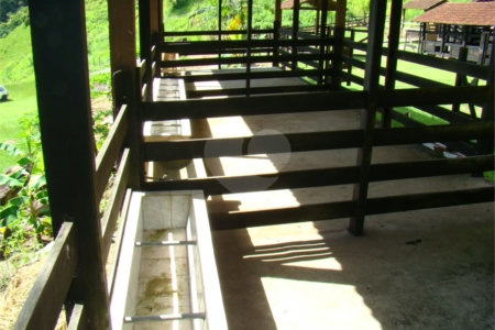 Fazenda à venda com 7 quartos, sendo 3 suítes, em Professor Souza, Casimiro de Abreu, RJ