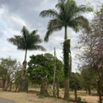 Chácara Parque Itaipu 3 quartos.