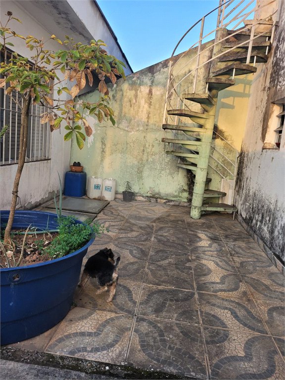 Sobrado à venda com 3 quartos em Vila Marari, São Paulo, SP