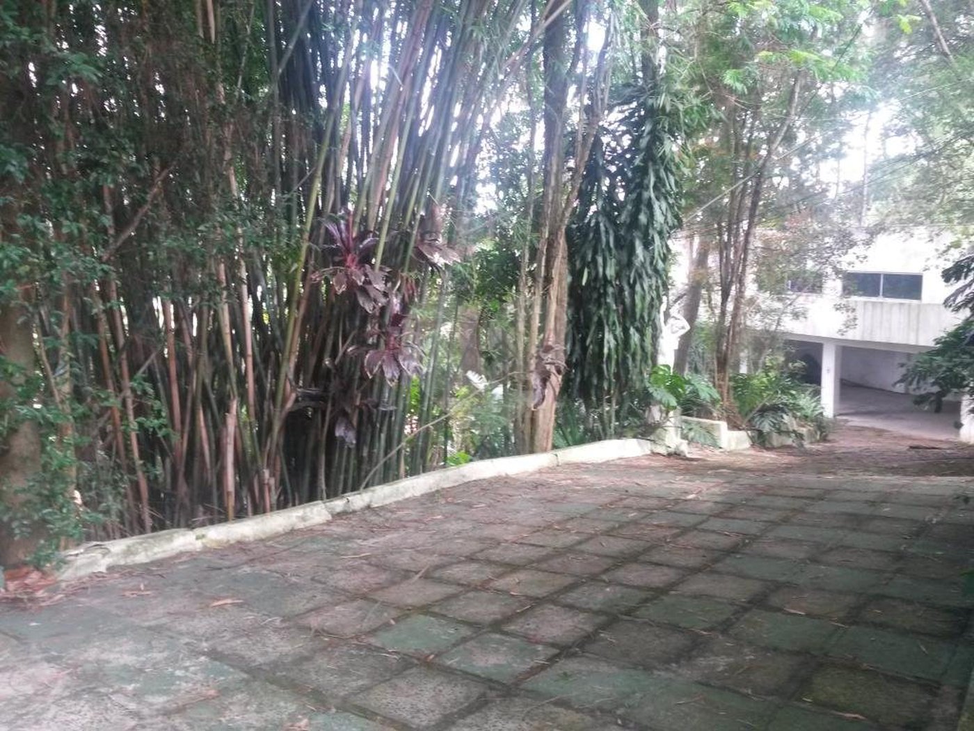 Casa Térrea à venda com 4 quartos, sendo 2 suítes,  em Tucuruvi, São Paulo, SP