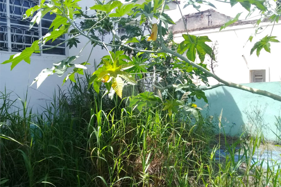 Terreno à venda em Tucuruvi, São Paulo, SP
