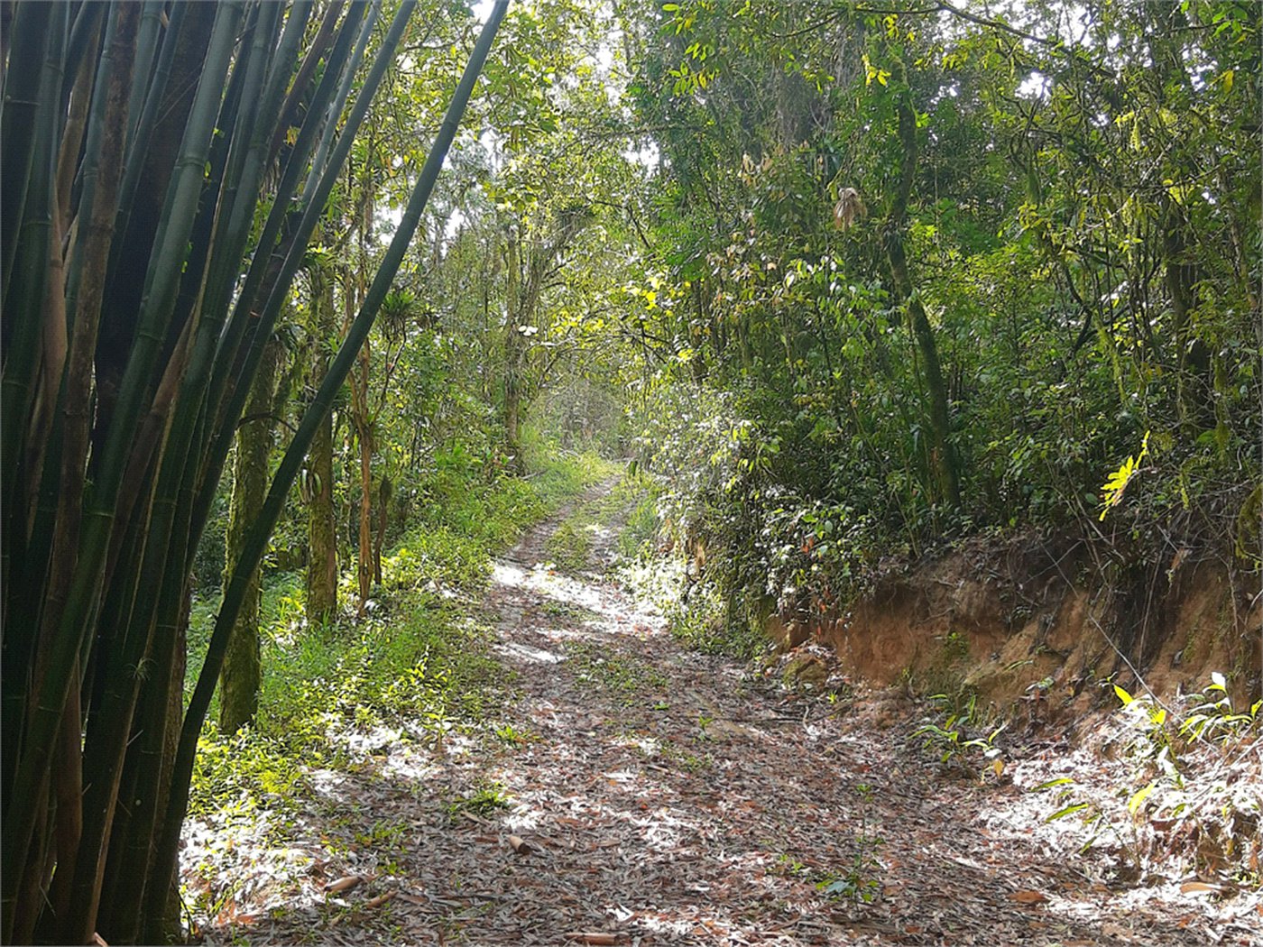 Sítio à venda com 5 quartos, sendo 1 suíte,  em Área Rural de Tapiraí, Tapiraí, SP
