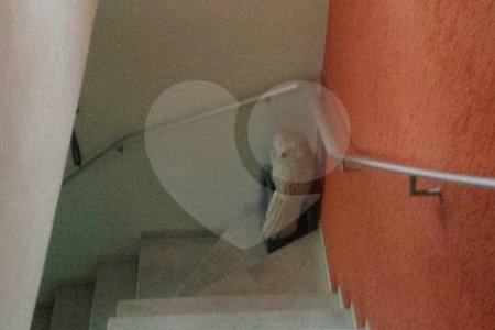 Casa à venda com 3 quartos, sendo 1 suíte, no condomínio Travessa Bruno Andreoni,16, São Paulo - SP