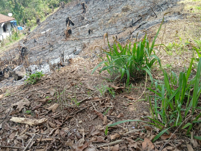 Terreno à venda em Rio Acima, Mairiporã, SP