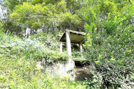 Terreno Residencial à venda, Morro de Nova Cintra, Santos - TE0034.