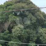 Casa à venda com 4 suítes em Loteamento Residencial Boa Vista, Atibaia, SP