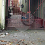 Sobrado à venda com 4 quartos em Vila Mira, São Paulo, SP