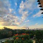 Apartamento à venda com 3 suítes em Jardim Paulista, São Paulo, SP