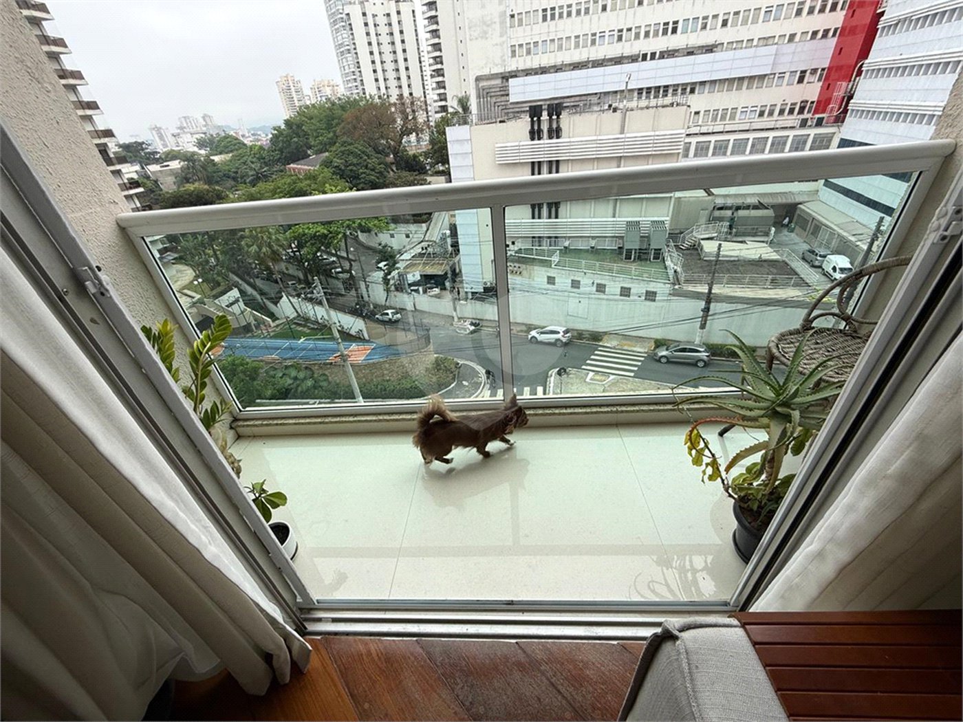 Apartamento à venda com 2 suítes em Santana, São Paulo, SP