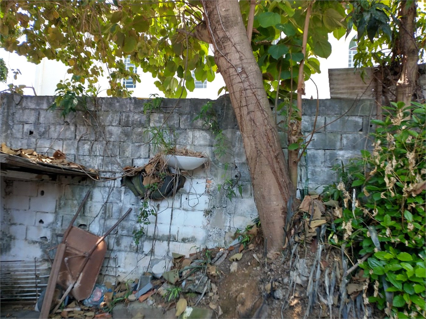 Terreno à venda com 2 quartos em Tucuruvi, São Paulo, SP