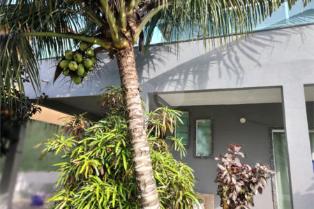 Casa à venda com 3 quartos, sendo 2 suítes,  em Rasa, Armação dos Búzios, RJ
