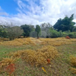 Terreno à venda em Portal da Figueira, Itapetininga, SP