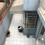Sobrado à venda com 2 quartos em Limão, São Paulo, SP