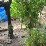 Casa à venda com 3 quartos, sendo 1 suíte,  no Centro, Salto, SP