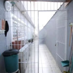 Sobrado à venda com 3 quartos, sendo 1 suíte, em Parque Vitória, São Paulo, SP