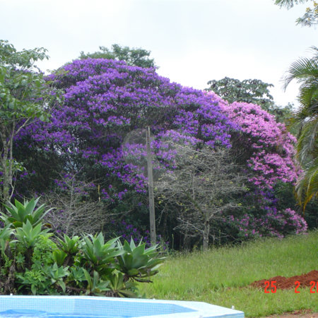 Chácara à venda com 5 quartos em Volta Grande (são João Novo), São Roque, SP