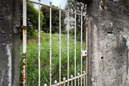 Terreno à venda em Santa Teresinha, São Paulo, SP