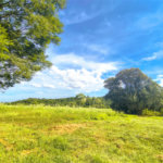 Sítio à venda com 3 quartos em Campo de Boituva, Boituva, SP