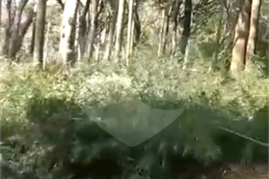 Terreno à venda em Luiz Fagundes, Mairiporã, SP
