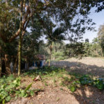 Casa à venda com 1 quarto no condomínio Chácara Flora, São Paulo - SP
