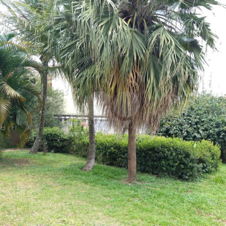 Casa à venda ou para alugar com 4 suítes em Vila Comercial, São Paulo, SP