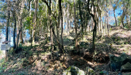 Terreno à venda em Jundiaizinho (terra Preta), Mairiporã, SP